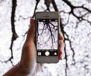 Mobile_phone_photography_28.jpg