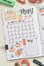 20+ Best Peach Themed Bullet Journal Spreads For 2022 - Crazy Laura.jpg