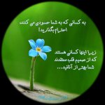 f3c3f5a4d75d4c812bb3fd5a311bdd59.jpg