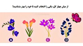 flower-perosnality-test.jpg