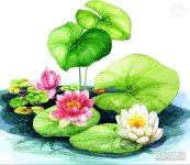 IMG_20220516_195417.jpg