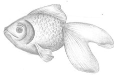 IMG_20220519_172839.jpg