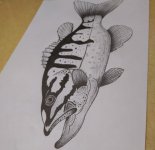IMG_20220519_172535.jpg