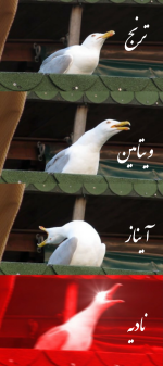 Negar_۲۰۲۲۰۵۲۴_۱۷۲۲۲۱.png