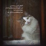 پروفایل دل شکسته.jpg
