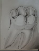 IMG_20220528_141933.jpg
