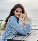 mahlaghajaberi_1617306289.jpg
