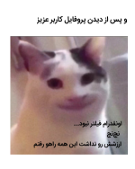 Negar_۲۰۲۲۰۶۰۹_۲۲۱۵۱۹.png
