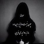 36ca0912b389d4c1996ae6ba35bf8ca5.jpg