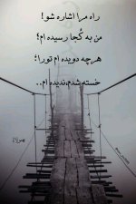 e355c4c8aa03edce6bef14fd5238358a.jpg