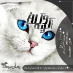 Negar_۲۰۲۲۰۶۲۱_۰۳۱۴۵۱(1).png