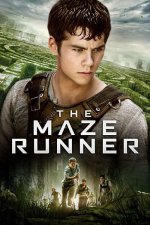 The-Maze-Runner-2014.jpg