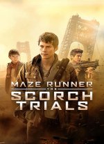 Maze-Runner.jpg