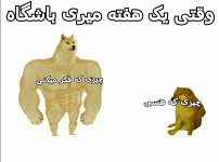 IMG_20220707_145812_933.jpg