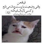 میم.png