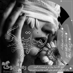 Negar_۲۰۲۲۰۷۱۴_۱۷۰۳۵۴.png