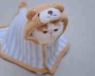 IMG_20220720_004458_199.jpg