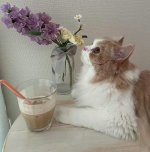 IMG_20220720_004451_395.jpg