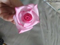 Rose-foam-20.jpg