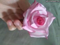 Rose-foam-21.jpg