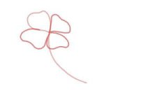 how-to-draw-flowers-step-by-step-step-2-300x200.jpg