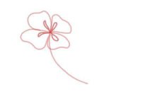 how-to-draw-flowers-step-by-step-step-3-300x200.jpg