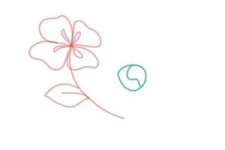 how-to-draw-flowers-step-by-step-step-5-300x200.jpg