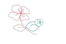 how-to-draw-flowers-step-by-step-step-6-300x200.jpg