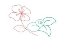how-to-draw-flowers-step-by-step-step-7-300x200.jpg