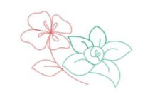 how-to-draw-flowers-step-by-step-step-8-300x200.jpg