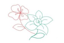 how-to-draw-flowers-step-by-step-step-9-300x200.jpg