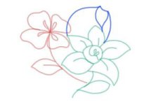 how-to-draw-flowers-step-by-step-step-10-300x200.jpg