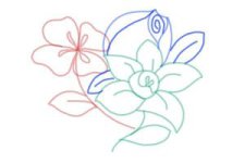 how-to-draw-flowers-step-by-step-step-11-300x200.jpg
