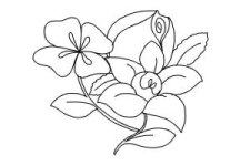 how-to-draw-flowers-step-by-step-step-12-300x200.jpg
