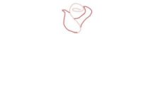 how-to-draw-a-rose-step-by-step-for-beginners-step-2-300x200.jpg