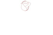 how-to-draw-a-rose-step-by-step-for-beginners-step-3-300x200.jpg