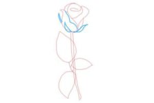 how-to-draw-a-rose-step-by-step-for-beginners-step-6-300x200.jpg
