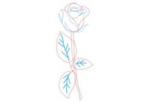 how-to-draw-a-rose-step-by-step-for-beginners-step-8-300x200.jpg