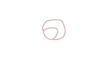 how-to-draw-an-open-rose-step-1-300x200.jpg