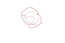 how-to-draw-an-open-rose-step-2-300x200.jpg