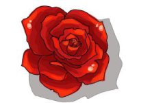 how-to-draw-an-open-rose-step-9-300x200.jpg