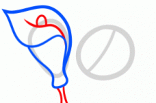 how-to-draw-lilies-for-kids-step-3_1_000000145785_3-300x198.gif
