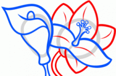 how-to-draw-lilies-for-kids-step-6_1_000000145791_3-300x198.gif