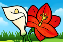 how-to-draw-lilies-for-kids_1_000000016375_5-300x203.png