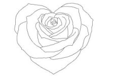 how-to-draw-a-heart-rose-step-10-300x200.jpg