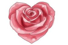 how-to-draw-a-heart-rose-step-11-300x200.jpg
