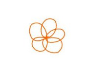 how-to-draw-a-tiger-lily-step-1-300x200.jpg