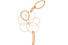 how-to-draw-a-tiger-lily-step-2-300x200.jpg