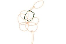 how-to-draw-a-tiger-lily-step-3-300x200.jpg