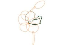 how-to-draw-a-tiger-lily-step-4-300x200.jpg